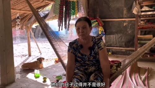 色的奶奶在线观看,一场穿越时空的视觉盛宴 第2张 色的奶奶在线观看,一场穿越时空的视觉盛宴 第2张